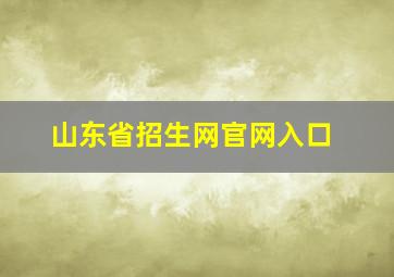 山东省招生网官网入口