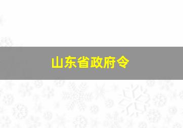 山东省政府令