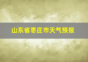 山东省枣庄市天气预报