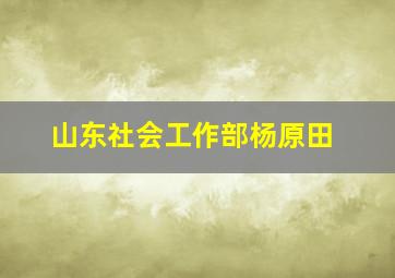 山东社会工作部杨原田