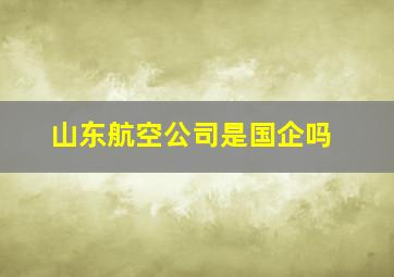 山东航空公司是国企吗