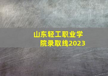 山东轻工职业学院录取线2023