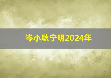 岑小耿宁明2024年