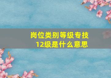 岗位类别等级专技12级是什么意思