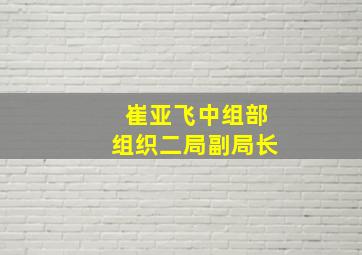 崔亚飞中组部组织二局副局长