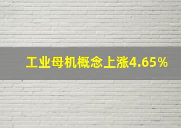 工业母机概念上涨4.65%