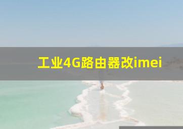 工业4G路由器改imei