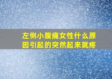 左侧小腹痛女性什么原因引起的突然起来就疼