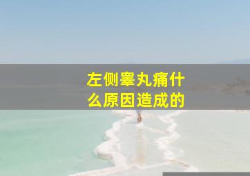 左侧睾丸痛什么原因造成的