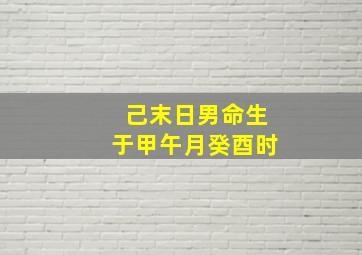 己末日男命生于甲午月癸酉时