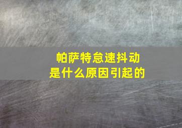 帕萨特怠速抖动是什么原因引起的