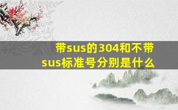 带sus的304和不带sus标准号分别是什么