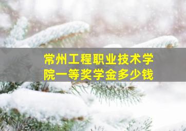 常州工程职业技术学院一等奖学金多少钱