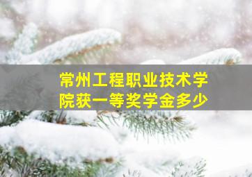 常州工程职业技术学院获一等奖学金多少