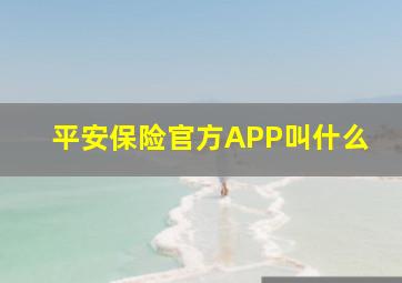 平安保险官方APP叫什么