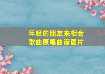 年轻的朋友来相会歌曲原唱曲谱图片