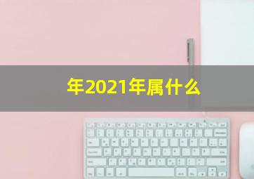 年2021年属什么