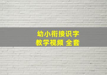 幼小衔接识字教学视频 全套