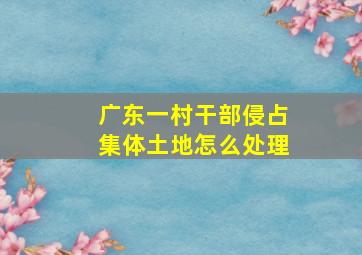 广东一村干部侵占集体土地怎么处理