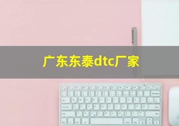 广东东泰dtc厂家