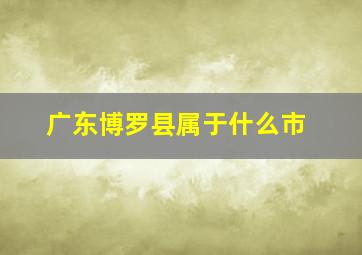 广东博罗县属于什么市