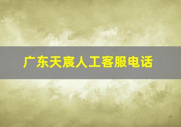 广东天宸人工客服电话