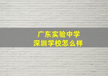 广东实验中学深圳学校怎么样