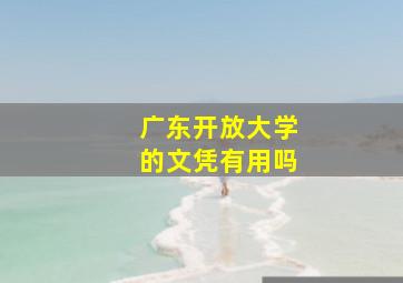 广东开放大学的文凭有用吗