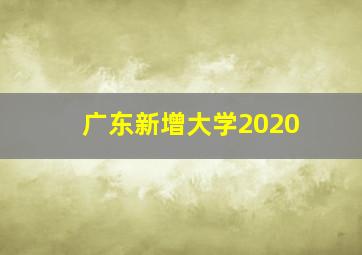 广东新增大学2020