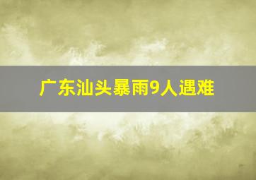 广东汕头暴雨9人遇难