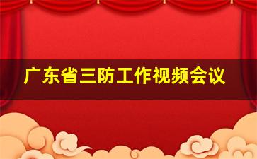 广东省三防工作视频会议