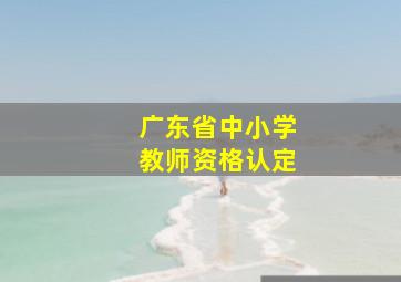 广东省中小学教师资格认定