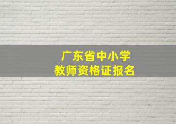 广东省中小学教师资格证报名