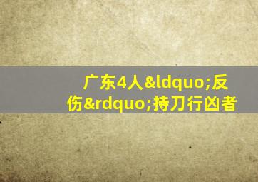 广东4人“反伤”持刀行凶者