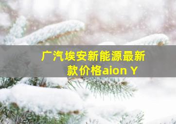 广汽埃安新能源最新款价格aion Y