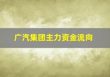 广汽集团主力资金流向