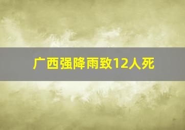 广西强降雨致12人死