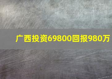 广西投资69800回报980万