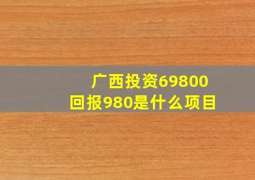 广西投资69800回报980是什么项目