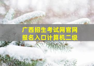 广西招生考试网官网报名入口计算机二级