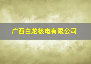 广西白龙核电有限公司