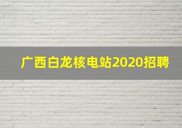 广西白龙核电站2020招聘