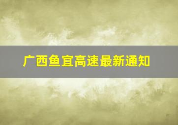 广西鱼宜高速最新通知