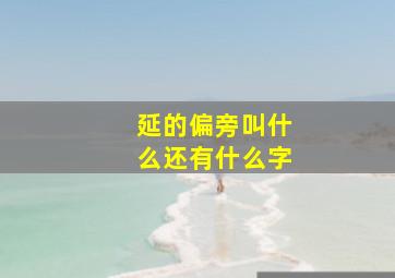 延的偏旁叫什么还有什么字