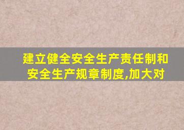 建立健全安全生产责任制和安全生产规章制度,加大对