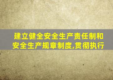 建立健全安全生产责任制和安全生产规章制度,贯彻执行