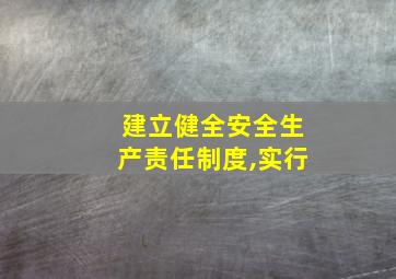 建立健全安全生产责任制度,实行