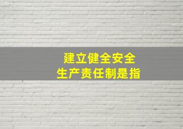 建立健全安全生产责任制是指