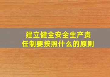 建立健全安全生产责任制要按照什么的原则