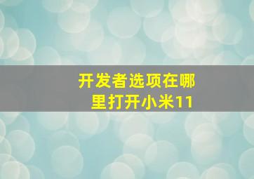 开发者选项在哪里打开小米11